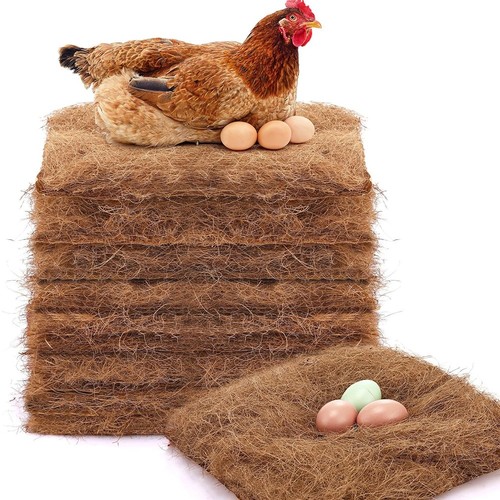 Pack chicken nest box - 10,
