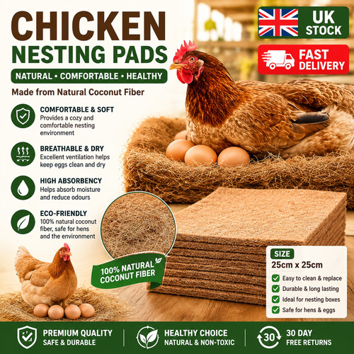 Pack chicken nest - pack, box