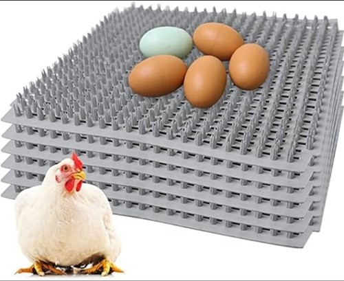 Ouyolad chicken nesting - ouyolad,