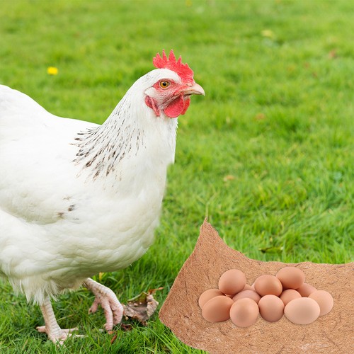 Pcs chicken nesting - 6, box