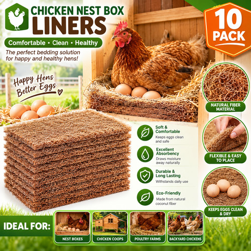 Pack chicken nest box - 10,