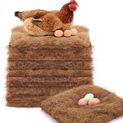 Pack chicken nest box - chicken,