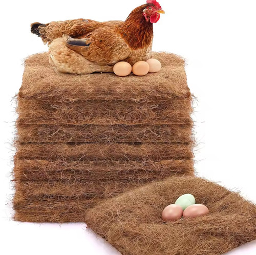 Pack chicken nest - 1&10,