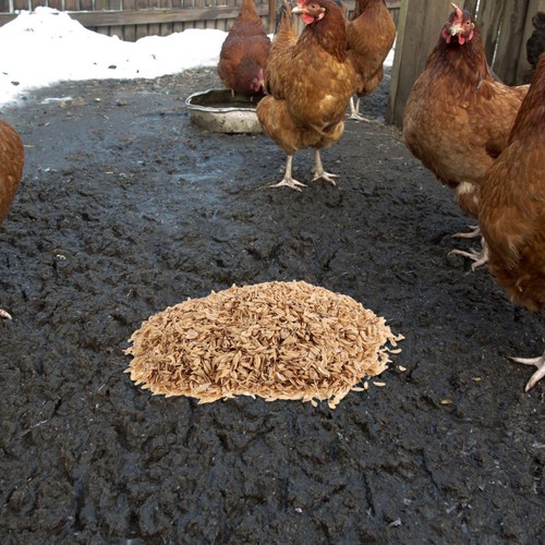 Organic rice for gardening - for,
