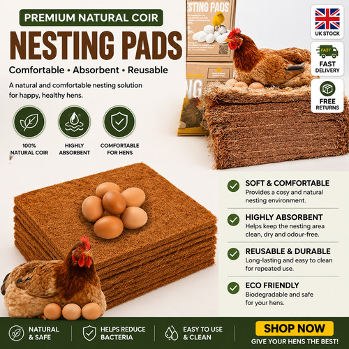 Pack chicken nest - 10,