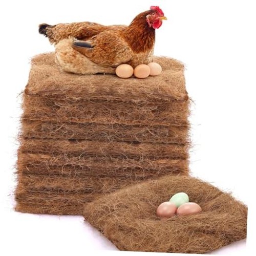 Pack chicken nesting box - chicken,