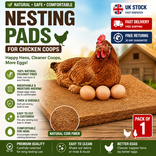 Pack chicken nest box - 10,