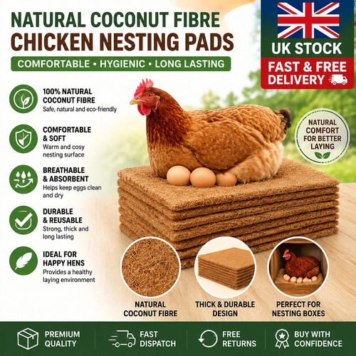 Pack chicken nest box - chicken,