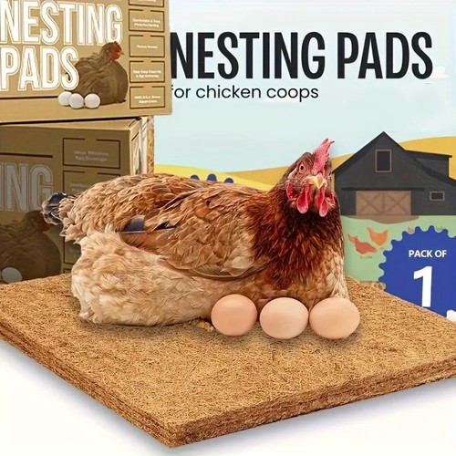 Pack chicken nest - 10,