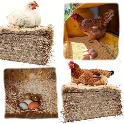 Chicken nesting box liners - chicken,