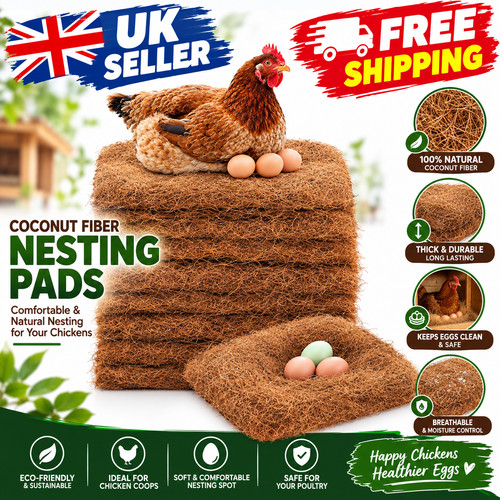 Pack chicken nest box - 10,