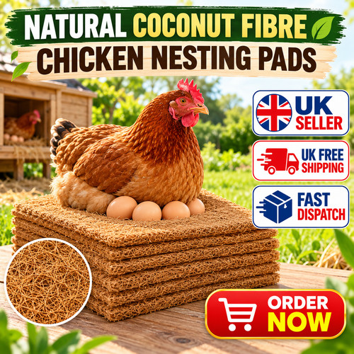 Pack chicken nest box - pack,