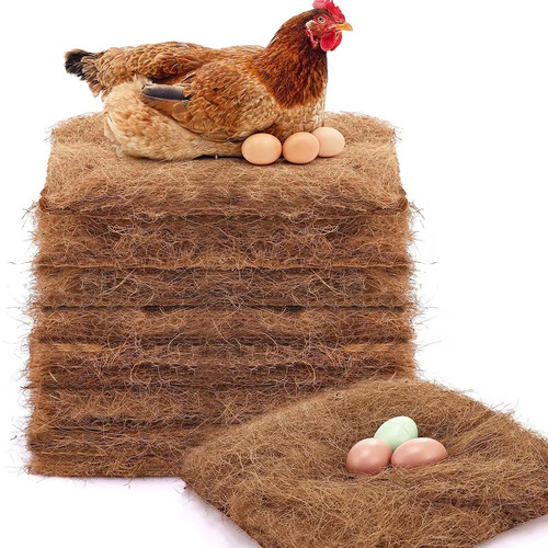 Pack chicken nest box - nest,