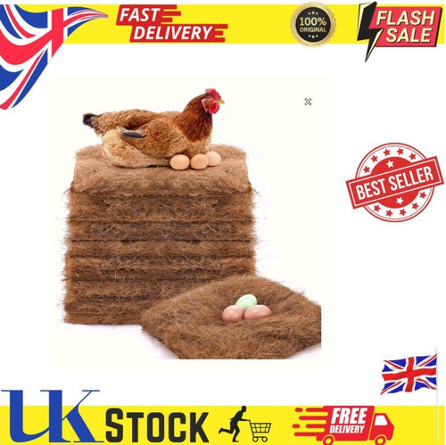 Pack chicken nest - chicken,